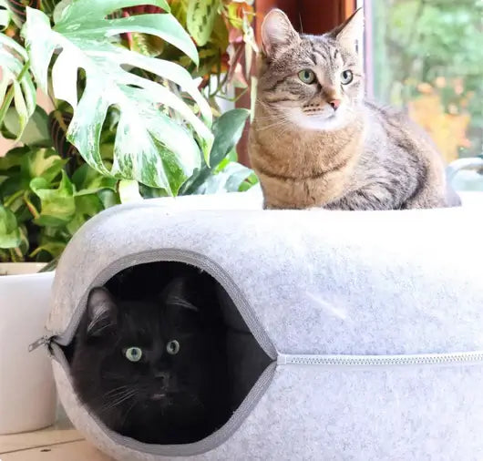 KATZELIEBE™ Katzenspielzeug katzentunnel