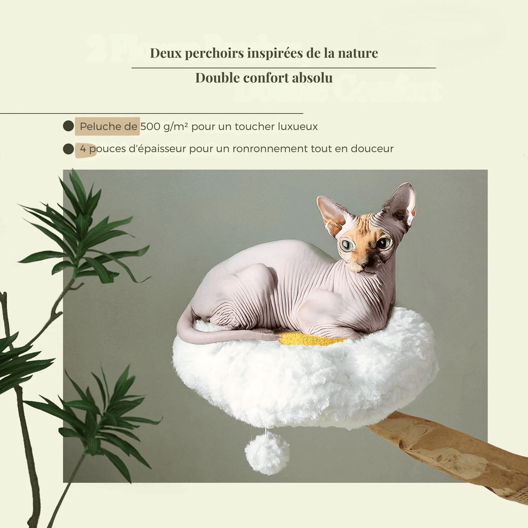 SAFARI™ — Katzenbaum aus Naturholz mit Hängematten & gemütlichen Liegeflächen