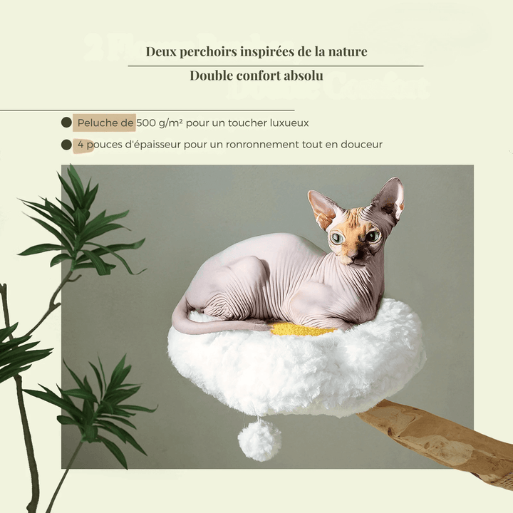 SAFARI™ — Katzenbaum aus Naturholz mit Hängematten & gemütlichen Liegeflächen