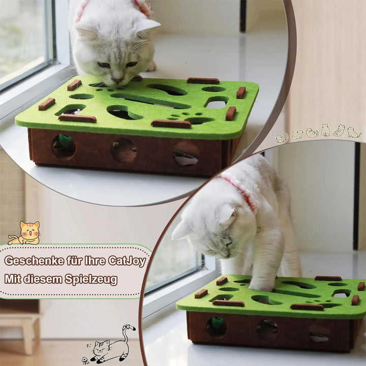 Dieses interaktive Katzenspielzeug