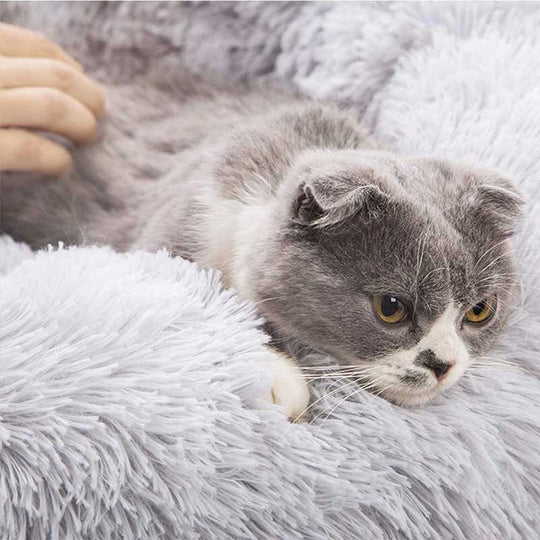 katzenbett, wolke 7 katzenbett , katzenkörbchen, kuscheliges katzenbett , katzensofa , betten für katzen, kuschelbett katze