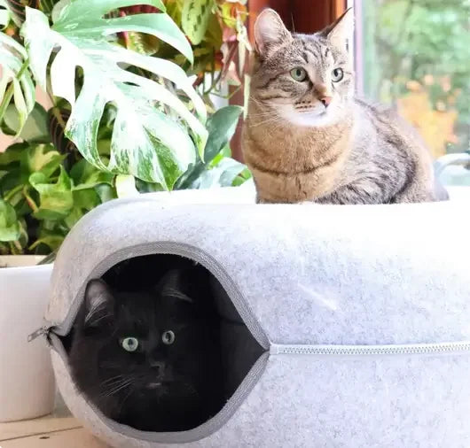 KATZELIEBE™ Katzenspielzeug katzentunnel