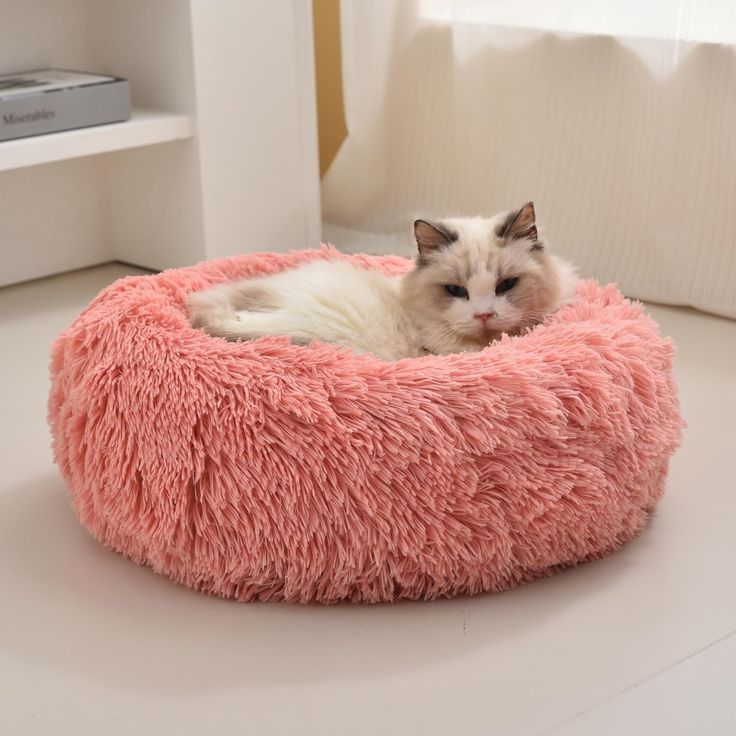 katzenbett, wolke 7 katzenbett , katzenkörbchen, kuscheliges katzenbett , katzensofa , betten für katzen, kuschelbett katze, katzenbett heizung​, fressnapf katzenbett​, kuschelbett katze wolke 7,  katzenbett wolke 7 erfahrungen, orthopädisches katzenbett, katzenbett heizung, katzenbett wolke 7 erfahrungen, katzenbett wolke 7 amazon
