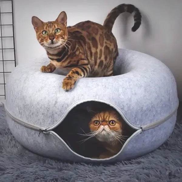 katzenspielsachen, katzen spielzeug, intelligenzspielzeug katze