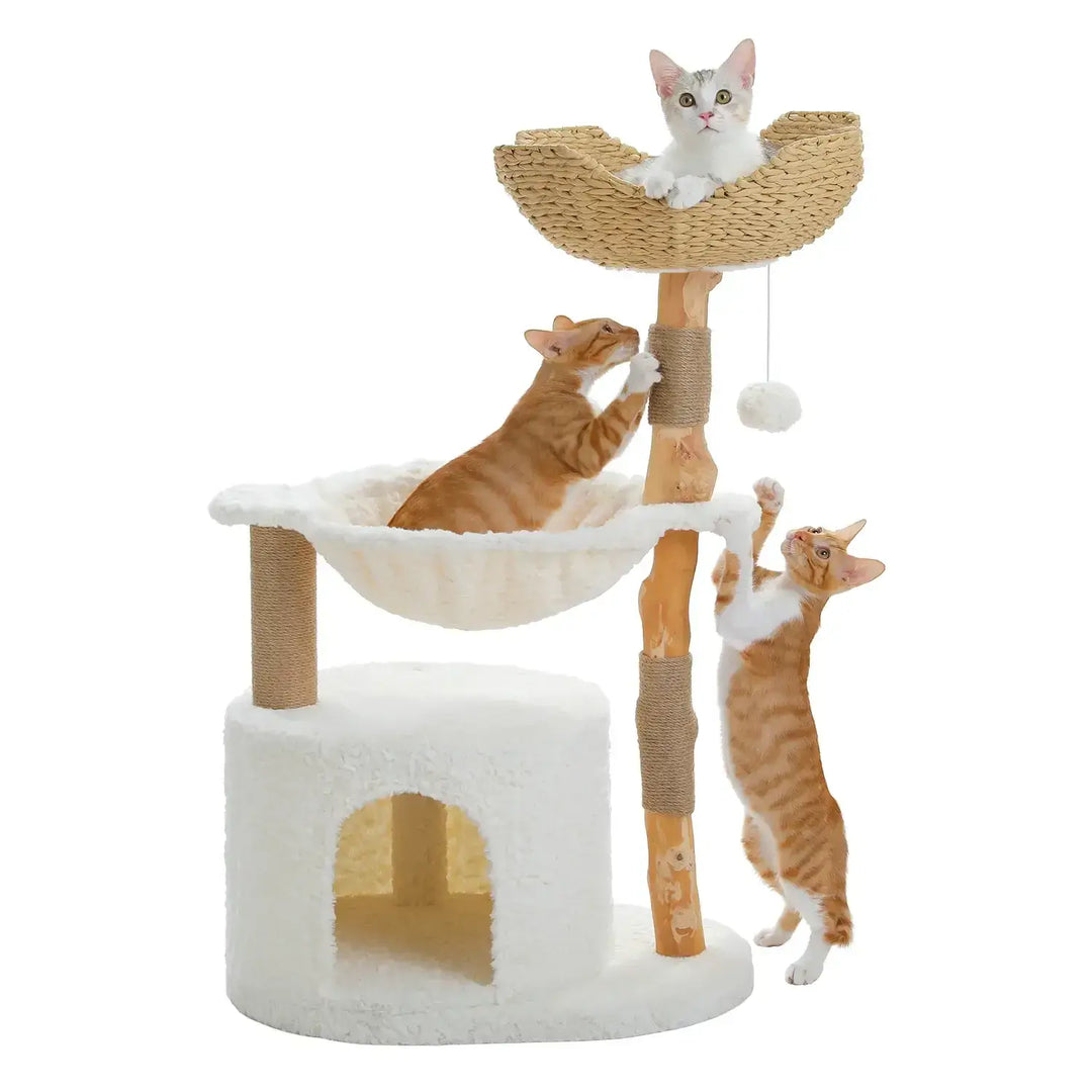 natural paradise kratzbaum​
kratzbaum katze​
kratzbaum große katzen​
kratzbaum für katzen​
Kratzbaum für Katzen mit Sisalball
kratzbaum für große katzen​
kratzbaum
Katzenbaum
katzen kratzbaum​
fressnapf kratzbaum​