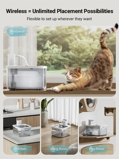 Katzenbrunnen – Robust, leicht zu reinigen & ideal für sensible Katzen