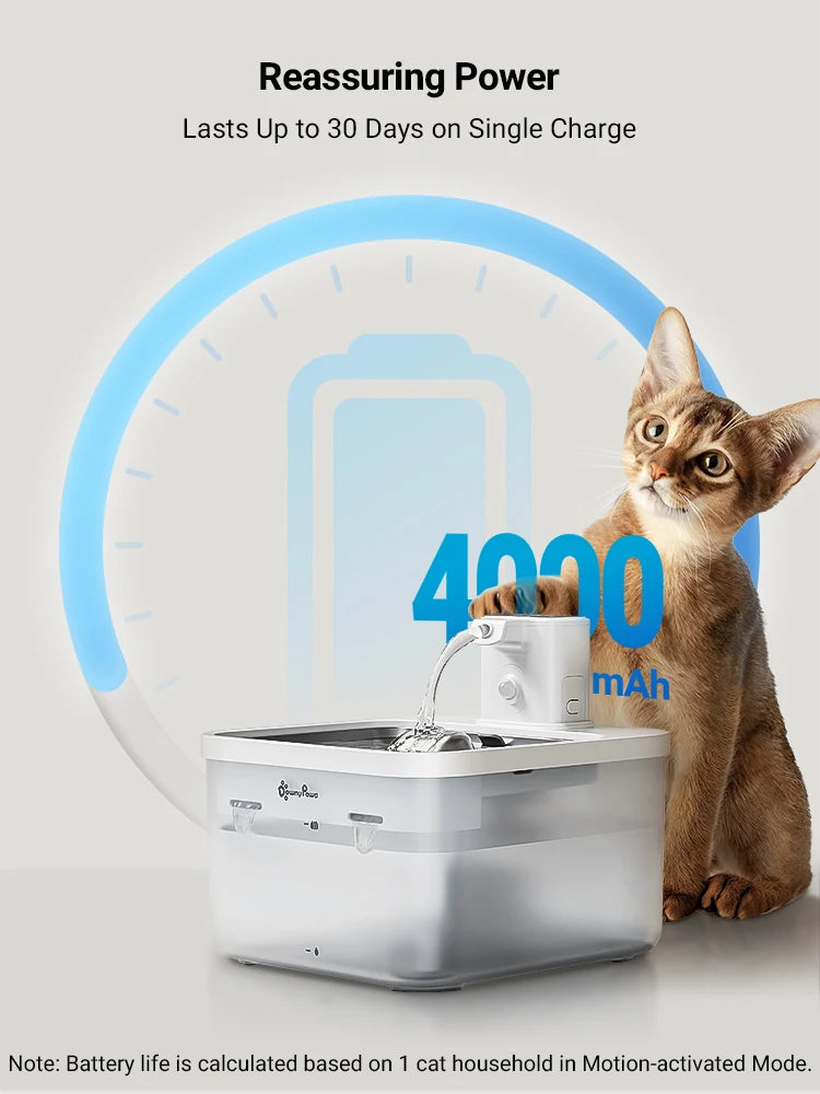 Katzenbrunnen – Robust, leicht zu reinigen & ideal für sensible Katzen