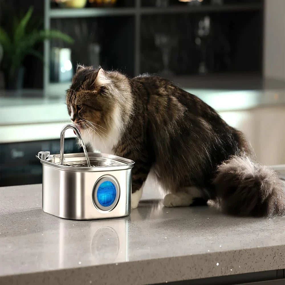 Trinkbrunnen für Katze mit LED