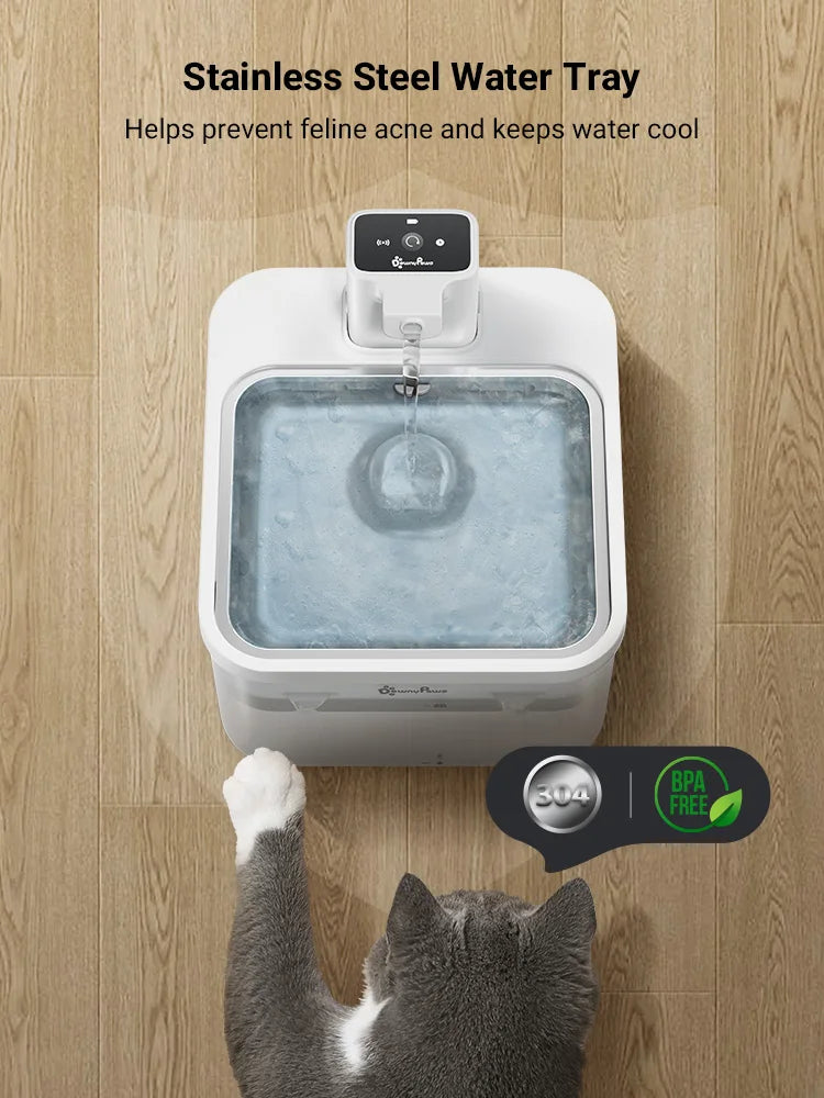 Katzenbrunnen – Robust, leicht zu reinigen & ideal für sensible Katzen