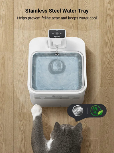 Katzenbrunnen – Robust, leicht zu reinigen & ideal für sensible Katzen