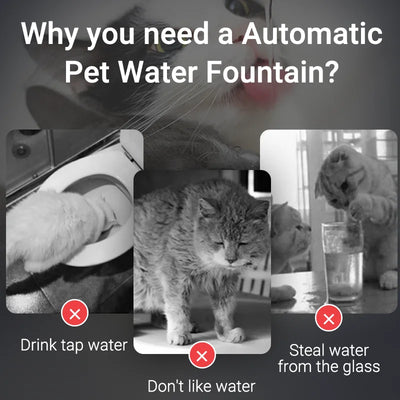 KATZELIEBE™ Katzenbrunnen mit Sensor