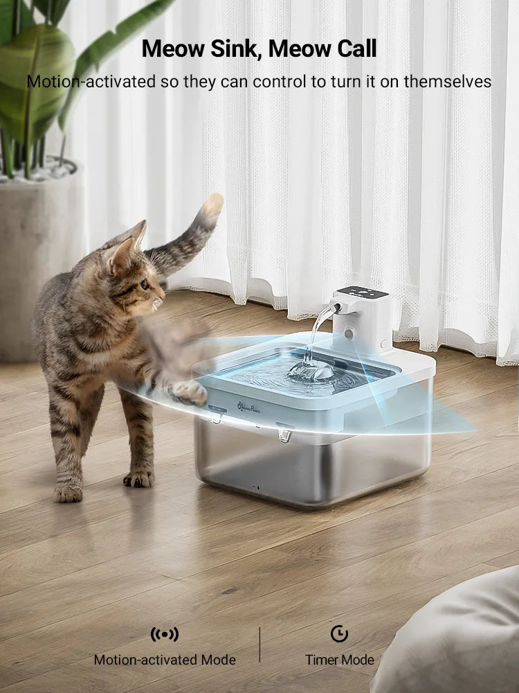 Katzenbrunnen – Robust, leicht zu reinigen & ideal für sensible Katzen