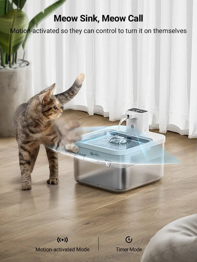 Katzenbrunnen – Robust, leicht zu reinigen & ideal für sensible Katzen