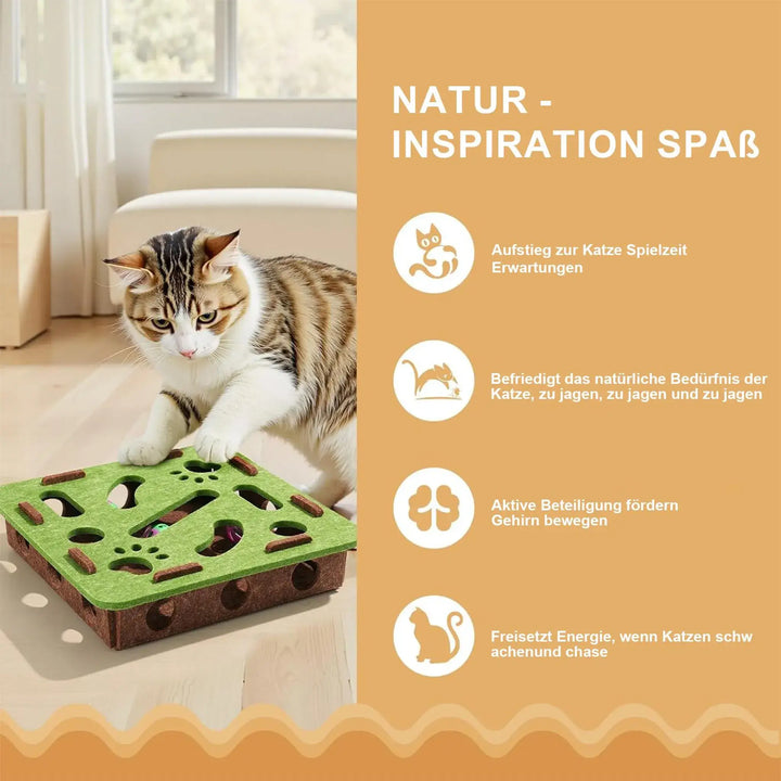 Spielzeug bei Katzen