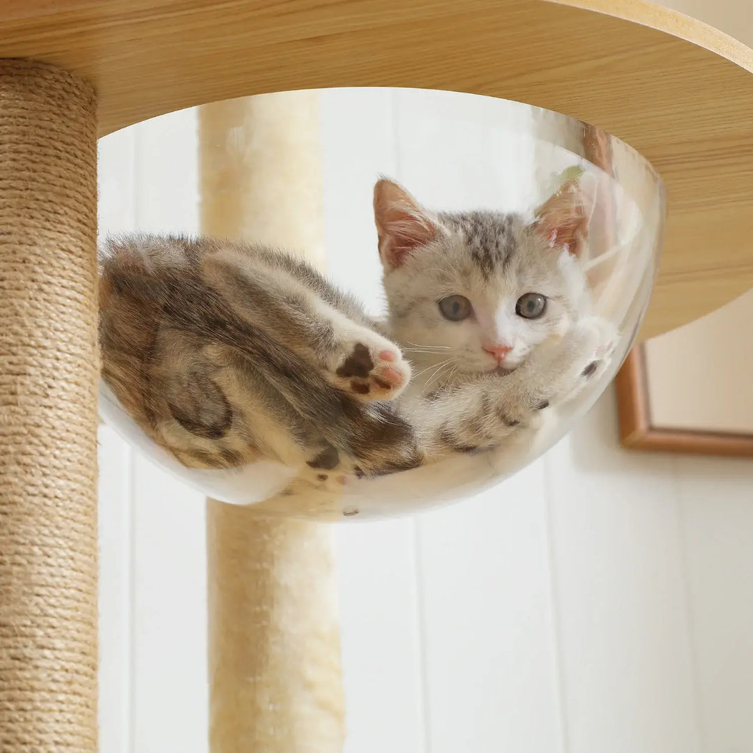 CORTEX™ — XXL Katzenbaum aus Naturholz mit Höhle & Plattformen