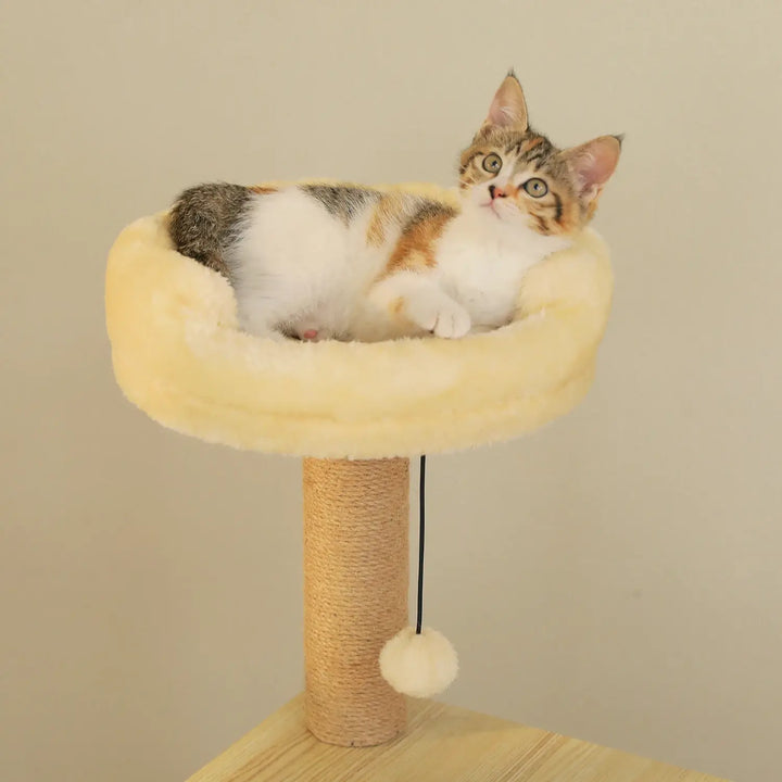 CORTEX™ — XXL Katzenbaum aus Naturholz mit Höhle & Plattformen