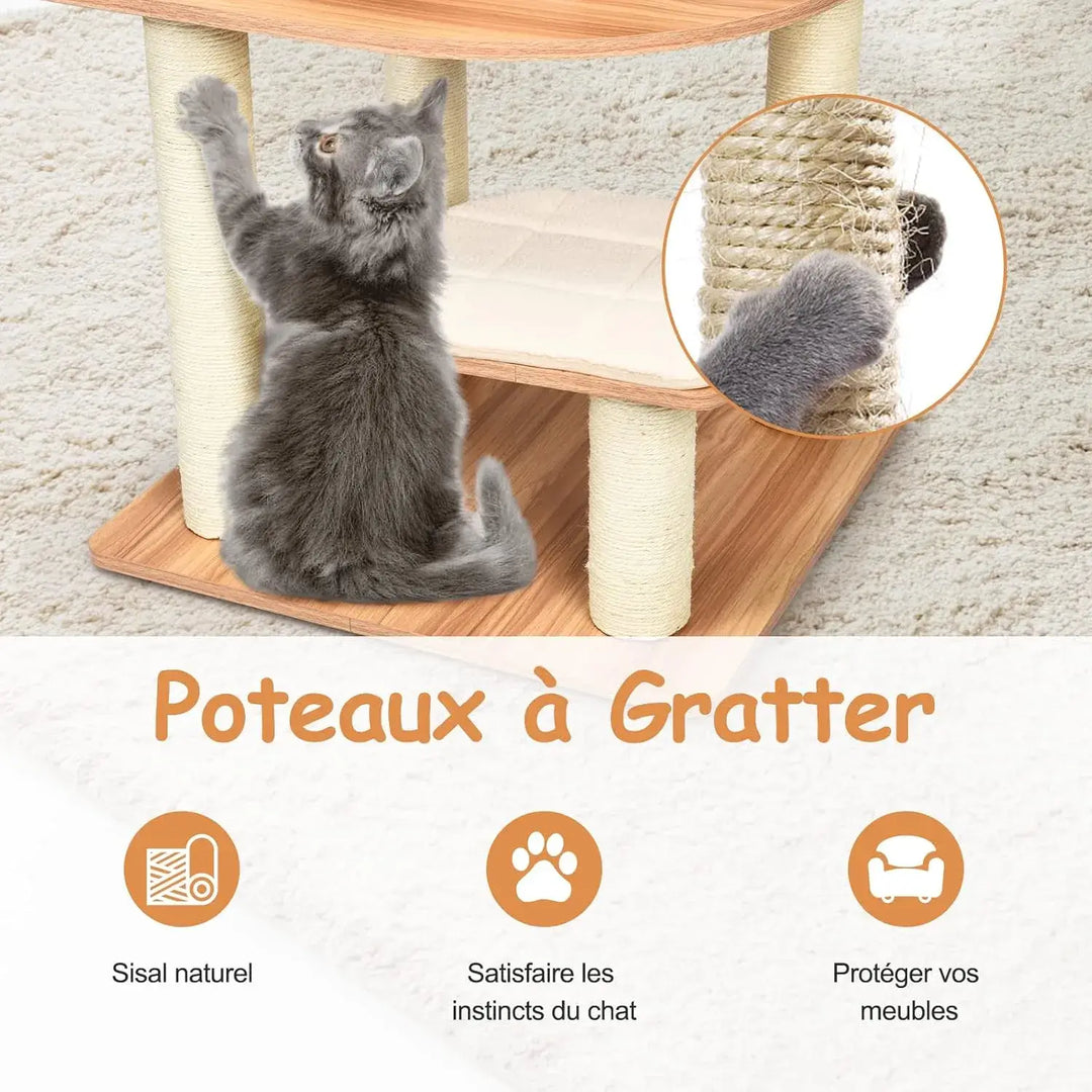 ORÉE™ — Katzenbaum aus Naturholz im Design mit Höhle & Hängematte | Stabil & Elegant