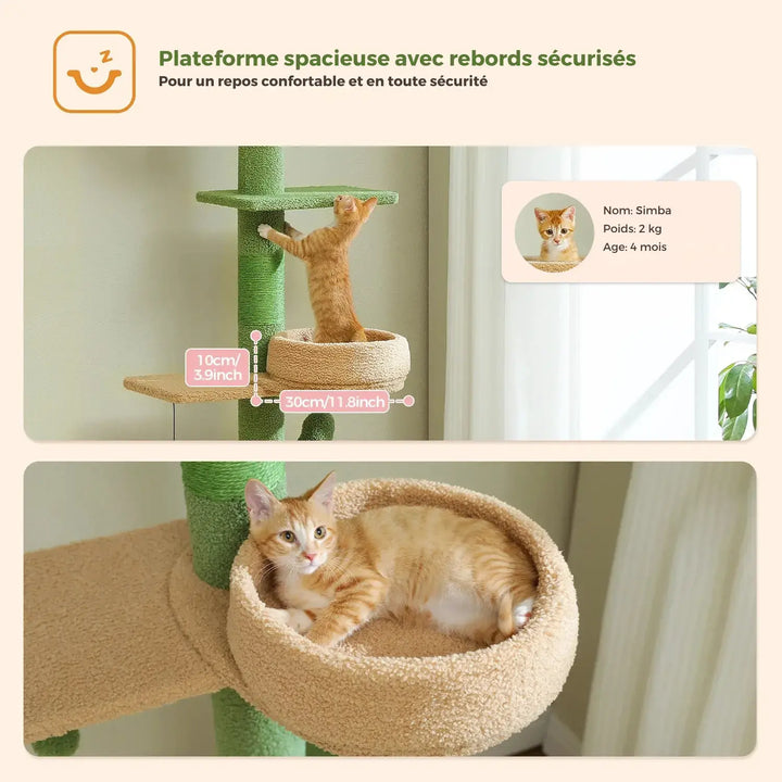 OASIS™ — Katzenbaum im natürlichen, minimalistischen Design