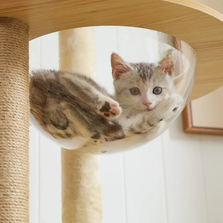 MANOIR™ — XXL Katzenbaum mit mehreren Ebenen