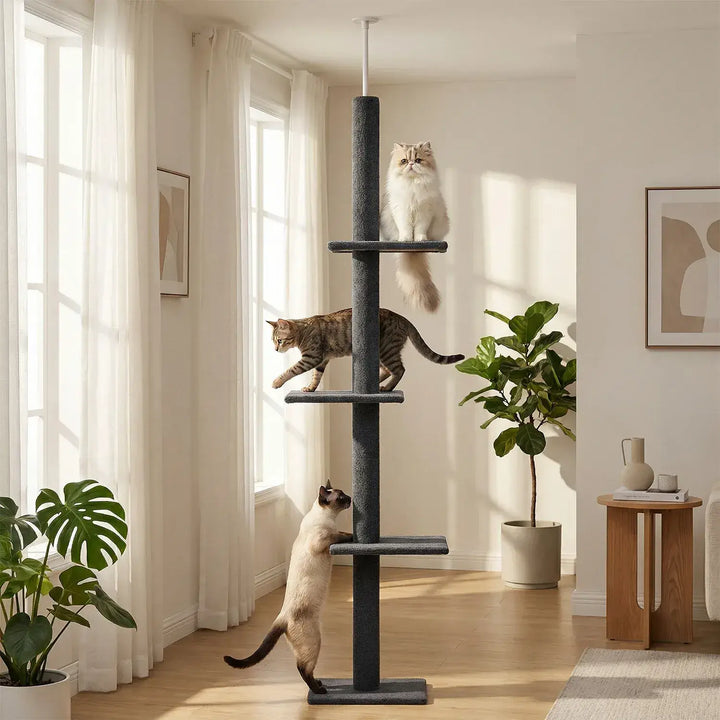 ZÉNITH™ — XXL Katzenbaum Boden-Decke, ultra stabil & langlebig im Design