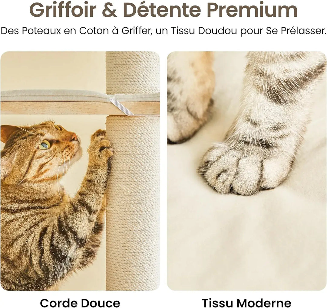 ORÉE™ — Katzenbaum aus Naturholz im Design mit Höhle & Hängematte | Stabil & Elegant