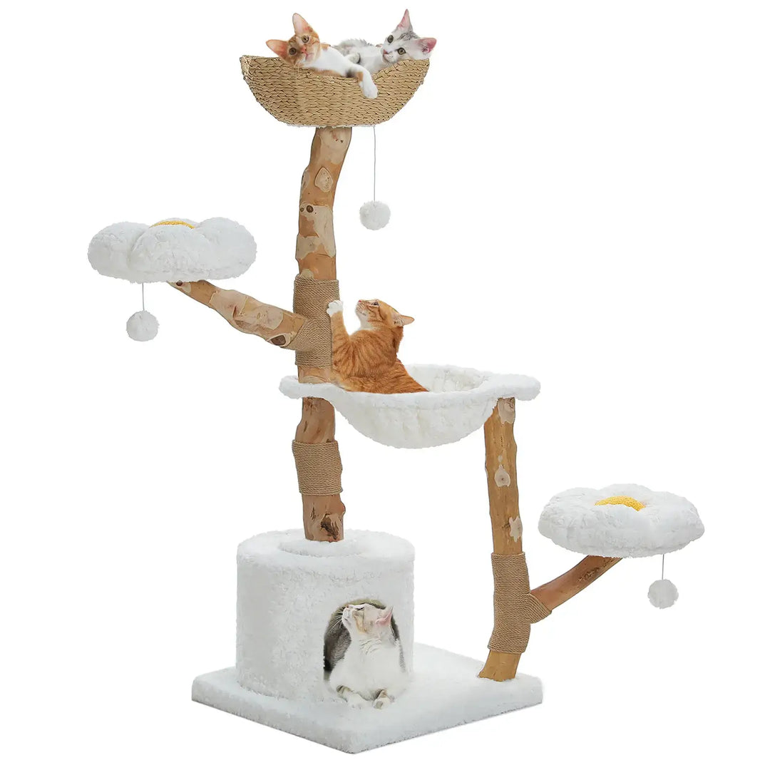 SAFARI™ — Katzenbaum aus Naturholz mit Hängematten & gemütlichen Liegeflächen