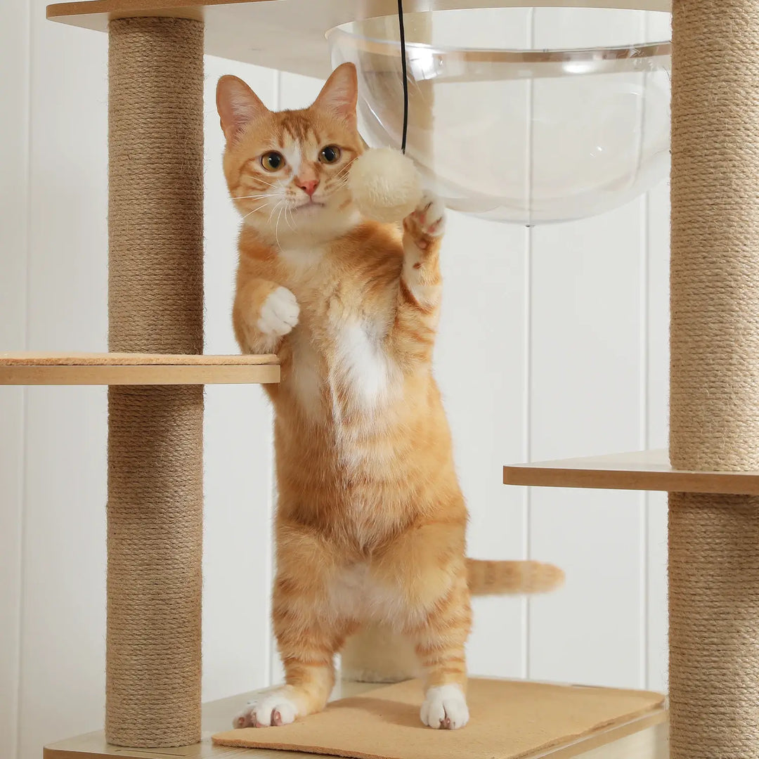 MANOIR™ — XXL Katzenbaum mit mehreren Ebenen