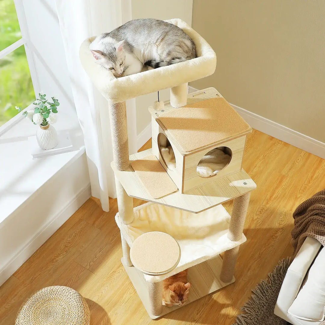 ORÉE™ — Katzenbaum aus Naturholz im Design mit Höhle & Hängematte | Stabil & Elegant