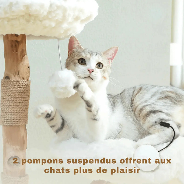 CORTEX™ — Katzenbaum Naturholz mit Blumen-Plattformen & Sisal-Kratzbaum