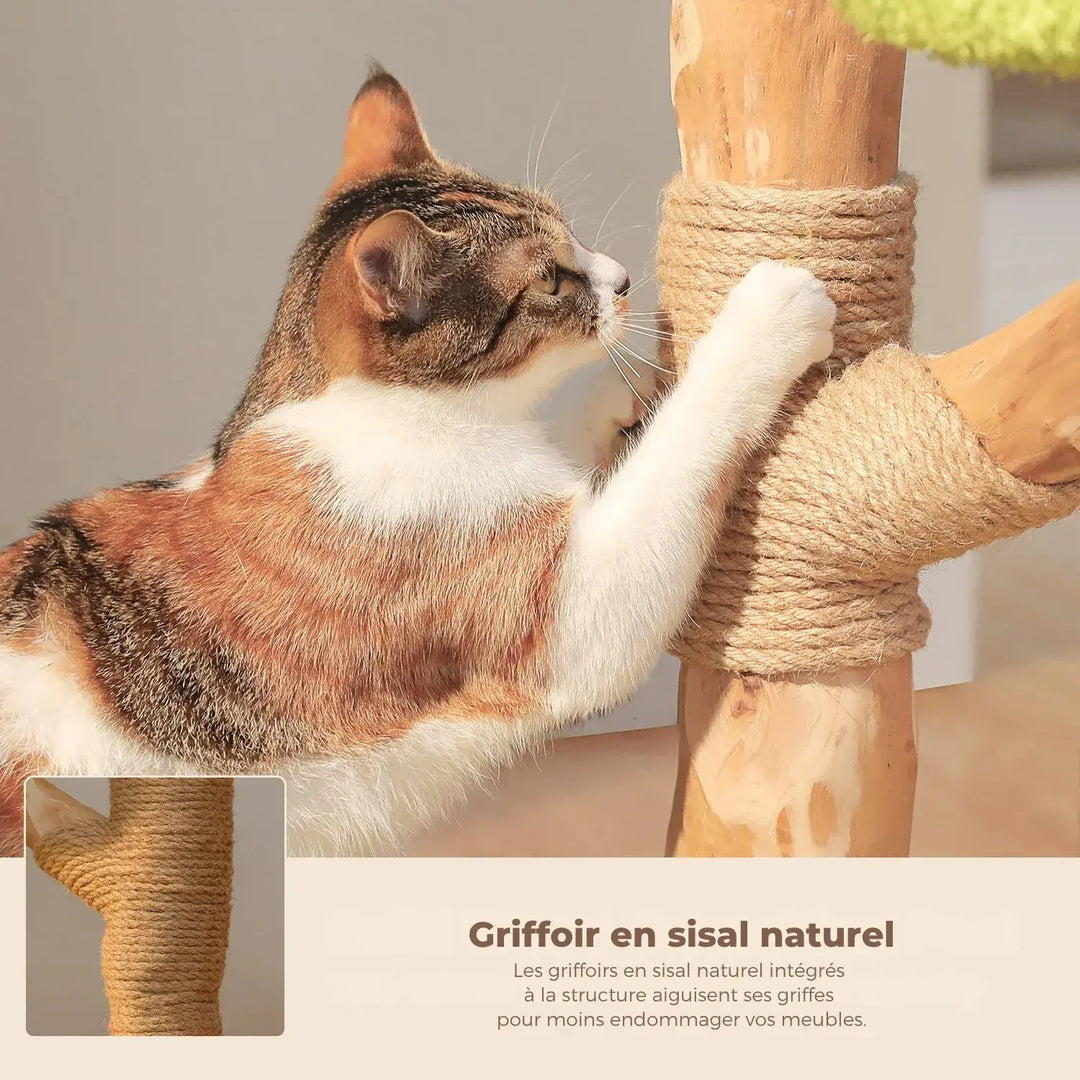 FLORA™ — Katzenbaum im Blüten-Design aus Naturholz mit Höhle & weichen Liegeflächen