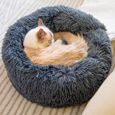 katzenbett, wolke 7 katzenbett , katzenkörbchen, kuscheliges katzenbett , katzensofa , betten für katzen, kuschelbett katze