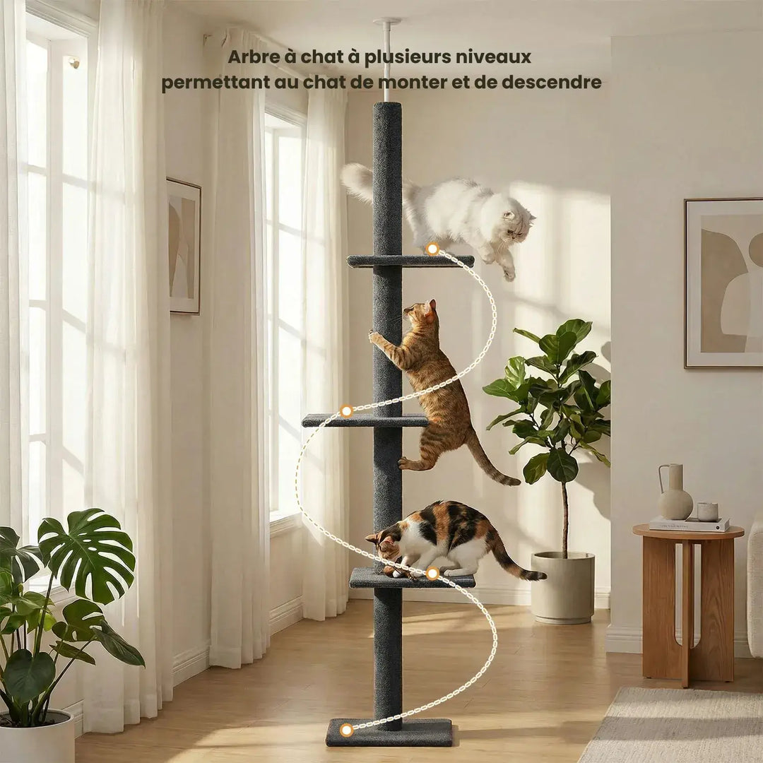 ZÉNITH™ — XXL Katzenbaum Boden-Decke, ultra stabil & langlebig im Design