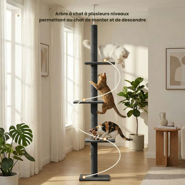 ZÉNITH™ — XXL Katzenbaum Boden-Decke, ultra stabil & langlebig im Design