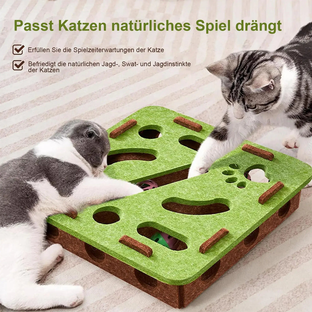 interaktives katzenspielzeug
