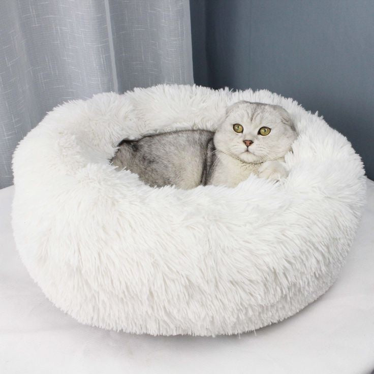 katzenbett, wolke 7 katzenbett , katzenkörbchen, kuscheliges katzenbett , katzensofa , betten für katzen, kuschelbett katze, katzenbett heizung​, fressnapf katzenbett​, kuschelbett katze wolke 7,  katzenbett wolke 7 erfahrungen, orthopädisches katzenbett, katzenbett heizung, katzenbett wolke 7 erfahrungen, katzenbett wolke 7 amazon
