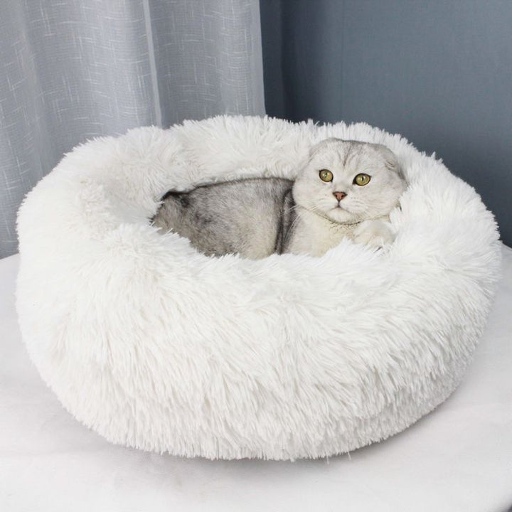 katzenbett, wolke 7 katzenbett , katzenkörbchen, kuscheliges katzenbett , katzensofa , betten für katzen, kuschelbett katze, katzenbett heizung​, fressnapf katzenbett​, kuschelbett katze wolke 7,  katzenbett wolke 7 erfahrungen, orthopädisches katzenbett, katzenbett heizung, katzenbett wolke 7 erfahrungen, katzenbett wolke 7 amazon
