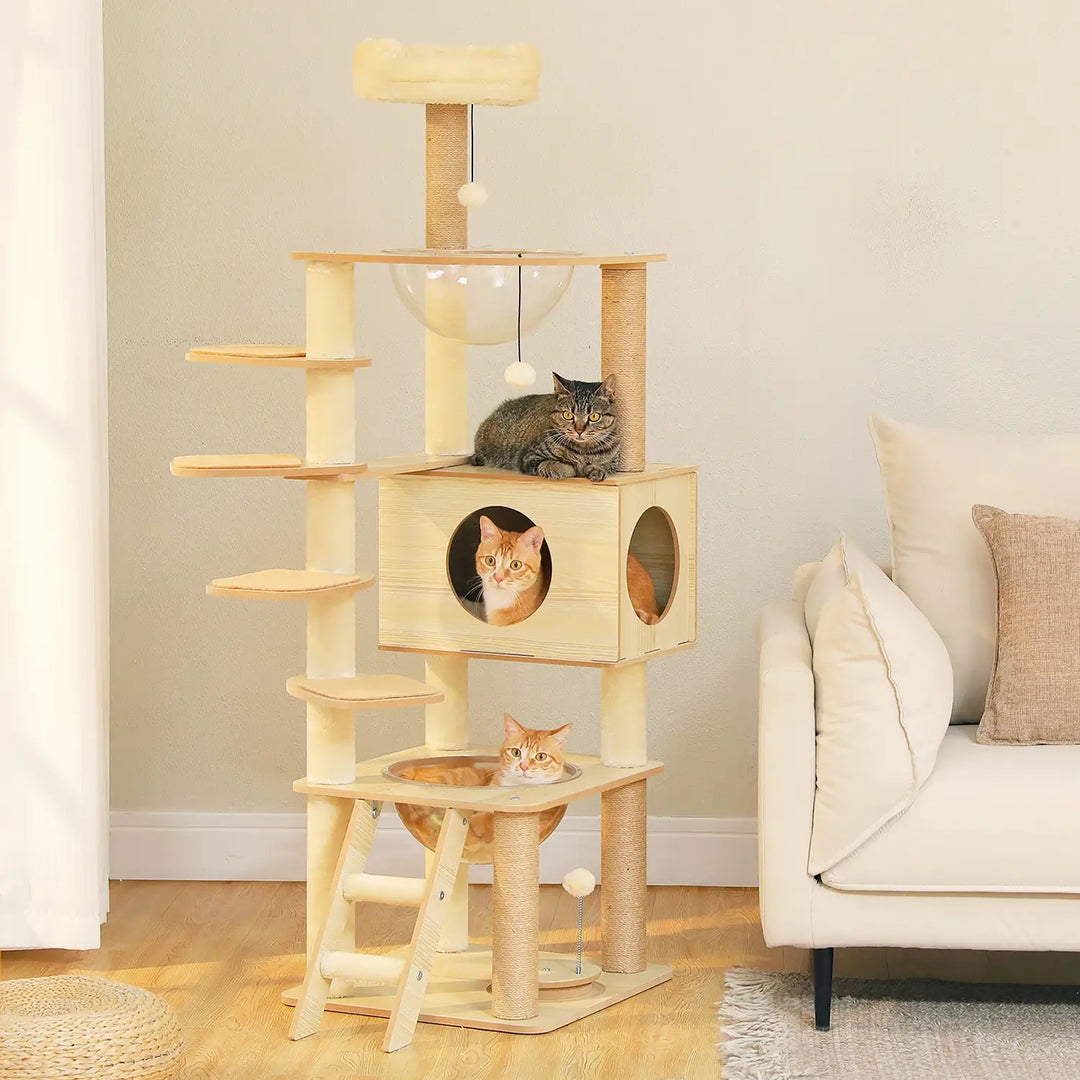 katzen kratzbaum