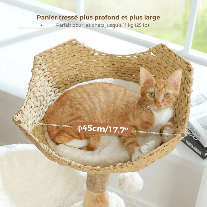 natural paradise kratzbaum​
kratzbaum katze​
kratzbaum große katzen​
kratzbaum für katzen​
Kratzbaum für Katzen mit Sisalball
kratzbaum für große katzen​
kratzbaum
Katzenbaum
katzen kratzbaum​
fressnapf kratzbaum​
