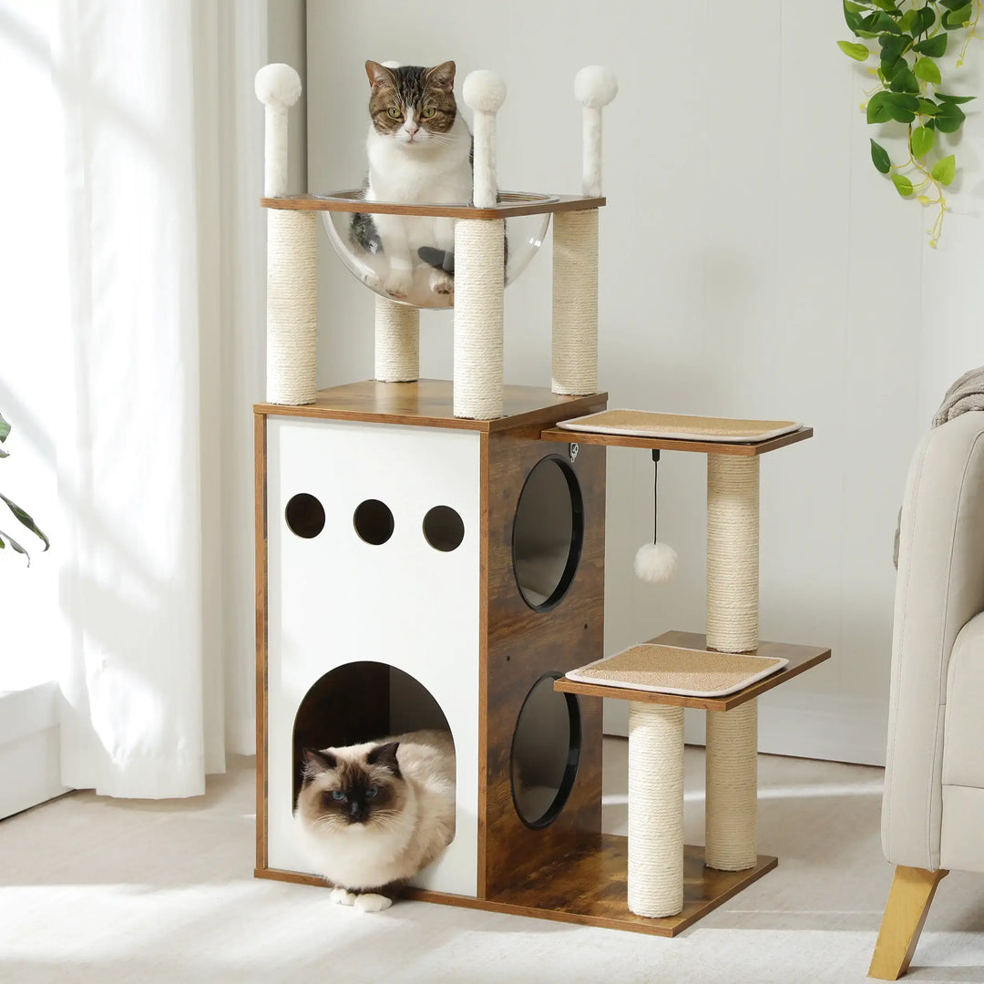 natural paradise kratzbaum​

kratzbaum katze​

kratzbaum große katzen​

kratzbaum für katzen​

Kratzbaum für Katzen mit Sisalball

kratzbaum für große katzen​

kratzbaum

katzen kratzbaum​

fressnapf kratzbaum​