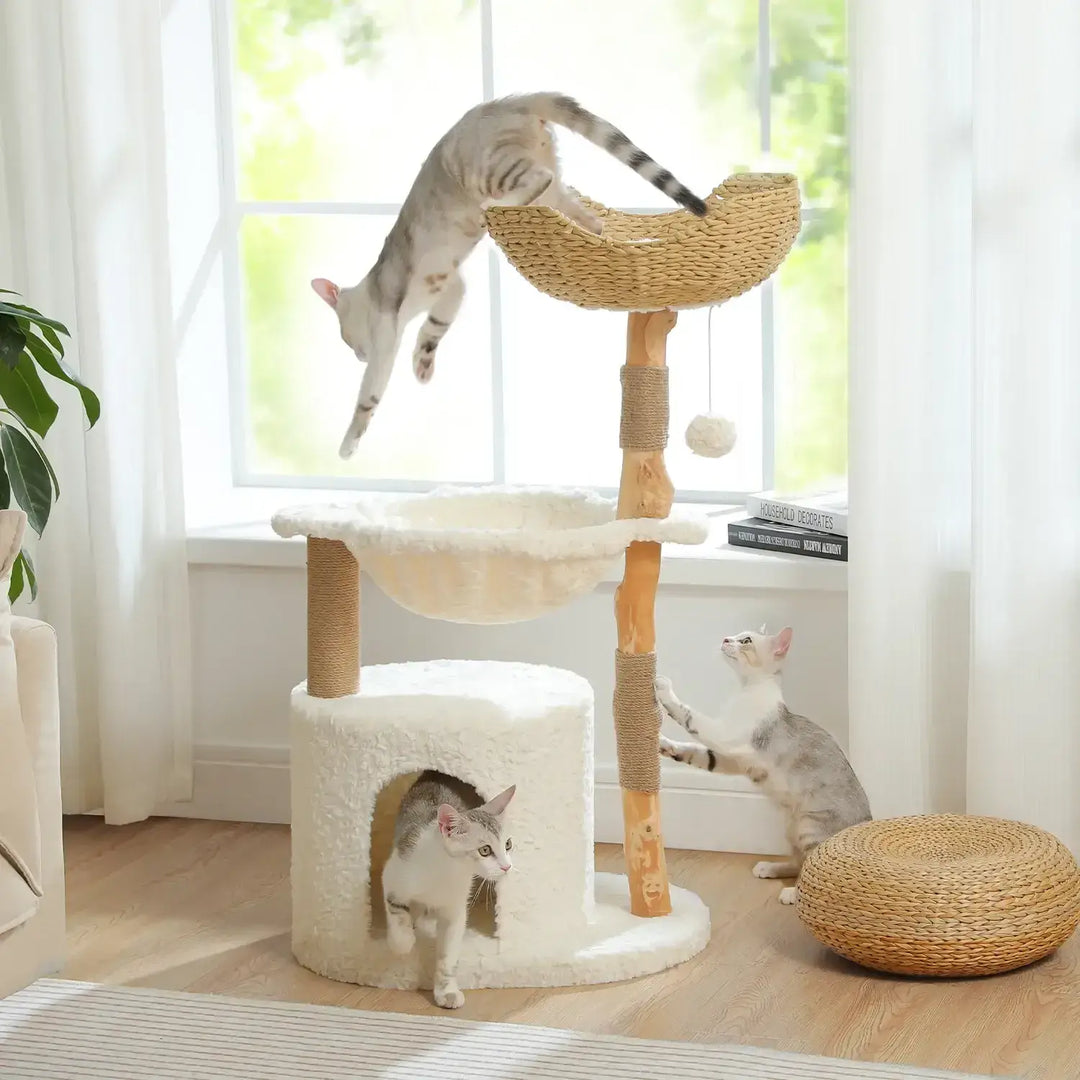 katzenbäume bei fressnapf​
katzenbaum modern​
katzenbaum xxl​
katzenbaum holz​
katzenbaum für große katzen​




