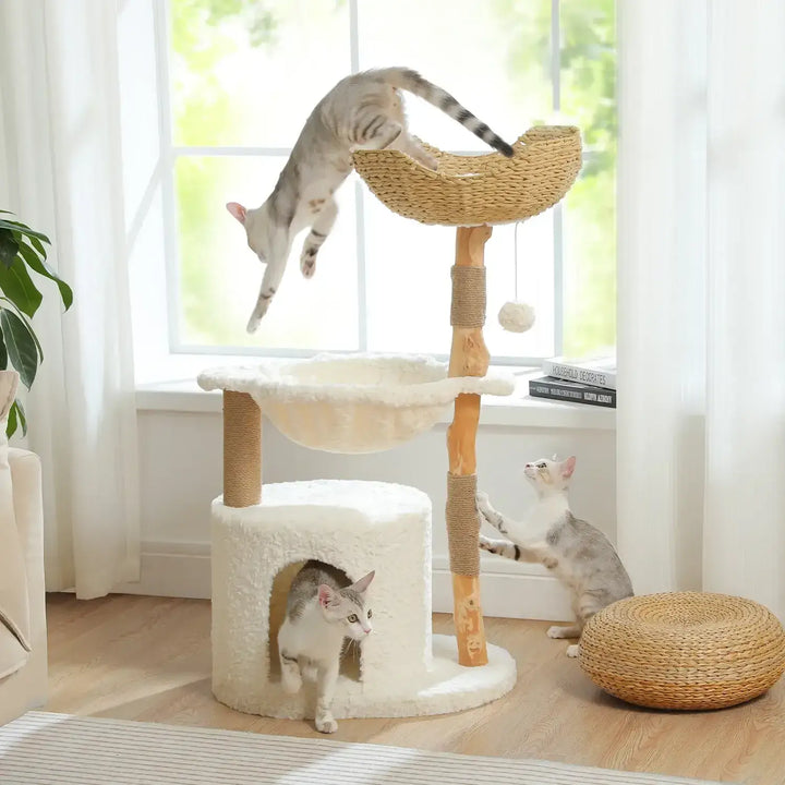 katzenbäume bei fressnapf​
katzenbaum modern​
katzenbaum xxl​
katzenbaum holz​
katzenbaum für große katzen​





