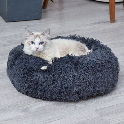 katzenbett, wolke 7 katzenbett , katzenkörbchen, kuscheliges katzenbett , katzensofa , betten für katzen, kuschelbett katze, katzenbett heizung​, fressnapf katzenbett​, kuschelbett katze wolke 7,  katzenbett wolke 7 erfahrungen, orthopädisches katzenbett, katzenbett heizung, katzenbett wolke 7 erfahrungen, katzenbett wolke 7 amazon
