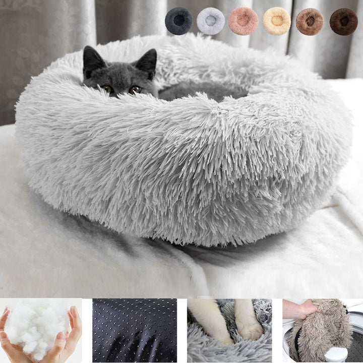 katzenbett, wolke 7 katzenbett , katzenkörbchen, kuscheliges katzenbett , katzensofa , betten für katzen, kuschelbett katze, katzenbett heizung​, fressnapf katzenbett​, kuschelbett katze wolke 7,  katzenbett wolke 7 erfahrungen, orthopädisches katzenbett, katzenbett heizung, katzenbett wolke 7 erfahrungen, katzenbett wolke 7 amazon
