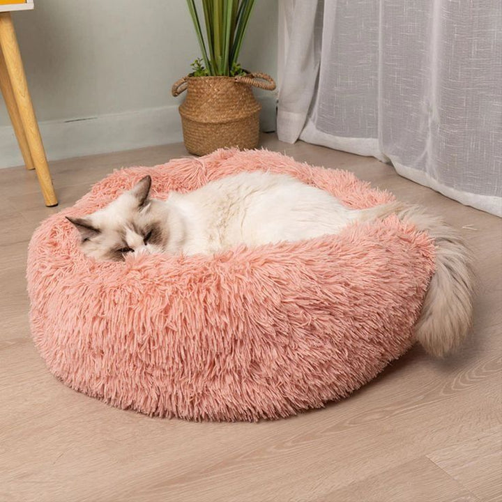 katzenbett, wolke 7 katzenbett , katzenkörbchen, kuscheliges katzenbett , katzensofa , betten für katzen, kuschelbett katze, katzenbett heizung​, fressnapf katzenbett​, kuschelbett katze wolke 7,  katzenbett wolke 7 erfahrungen, orthopädisches katzenbett, katzenbett heizung, katzenbett wolke 7 erfahrungen, katzenbett wolke 7 amazon
