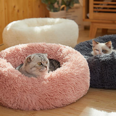 katzenbett, wolke 7 katzenbett , katzenkörbchen, kuscheliges katzenbett , katzensofa , betten für katzen, kuschelbett katze