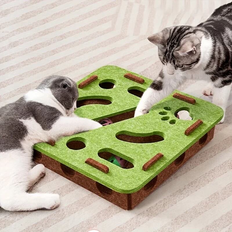 Katzenspielzeug 
Interaktives Katzenspielzeug