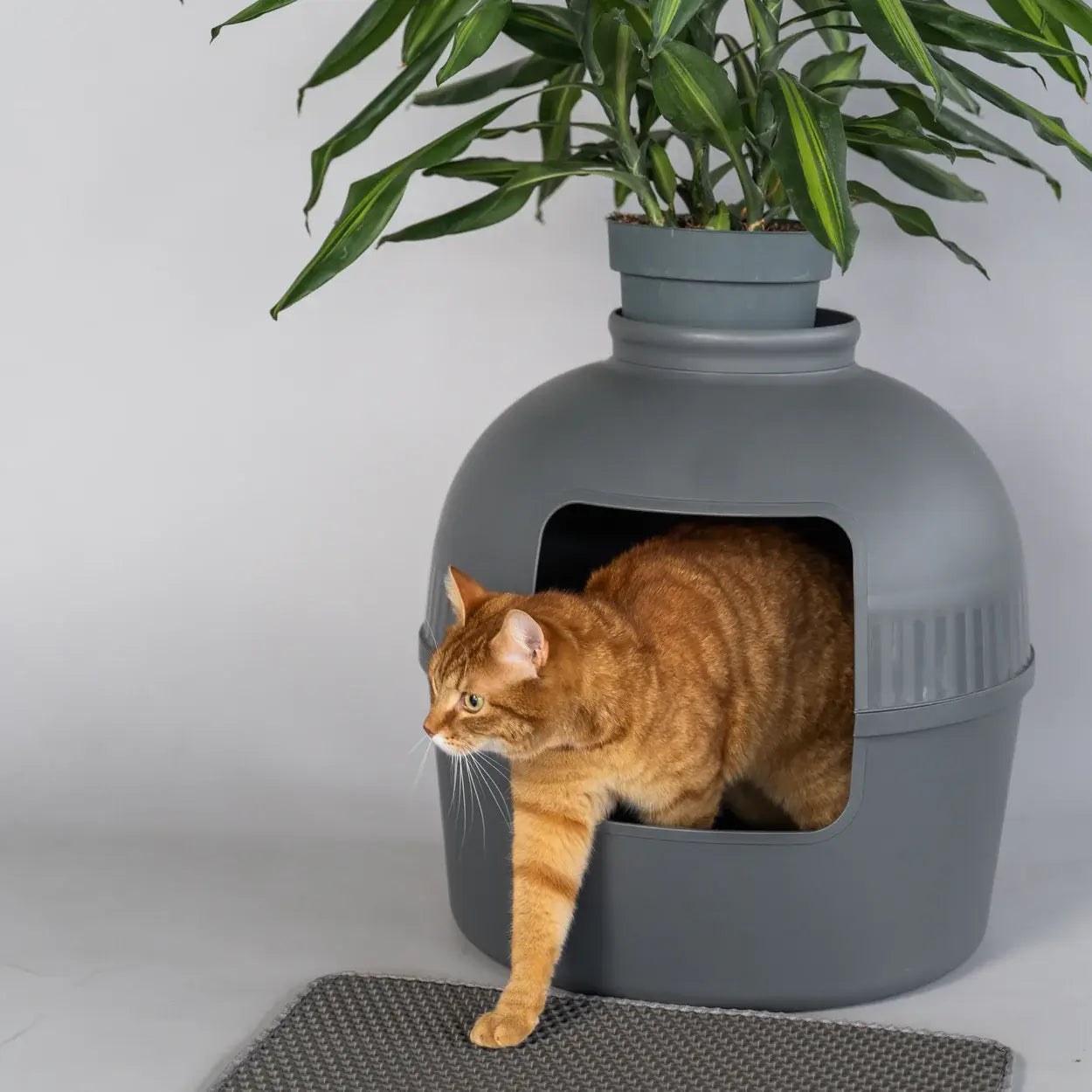 Katzenstreumatte unter Katzentoilette – schützt Boden und hält sauber
