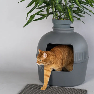 Katzenstreumatte unter Katzentoilette – schützt Boden und hält sauber
