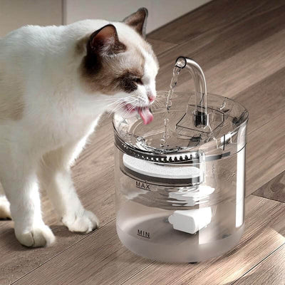 Hygienischer Katzenbrunnen aus Edelstahl – mit kontinuierlichem Wasserfluss
