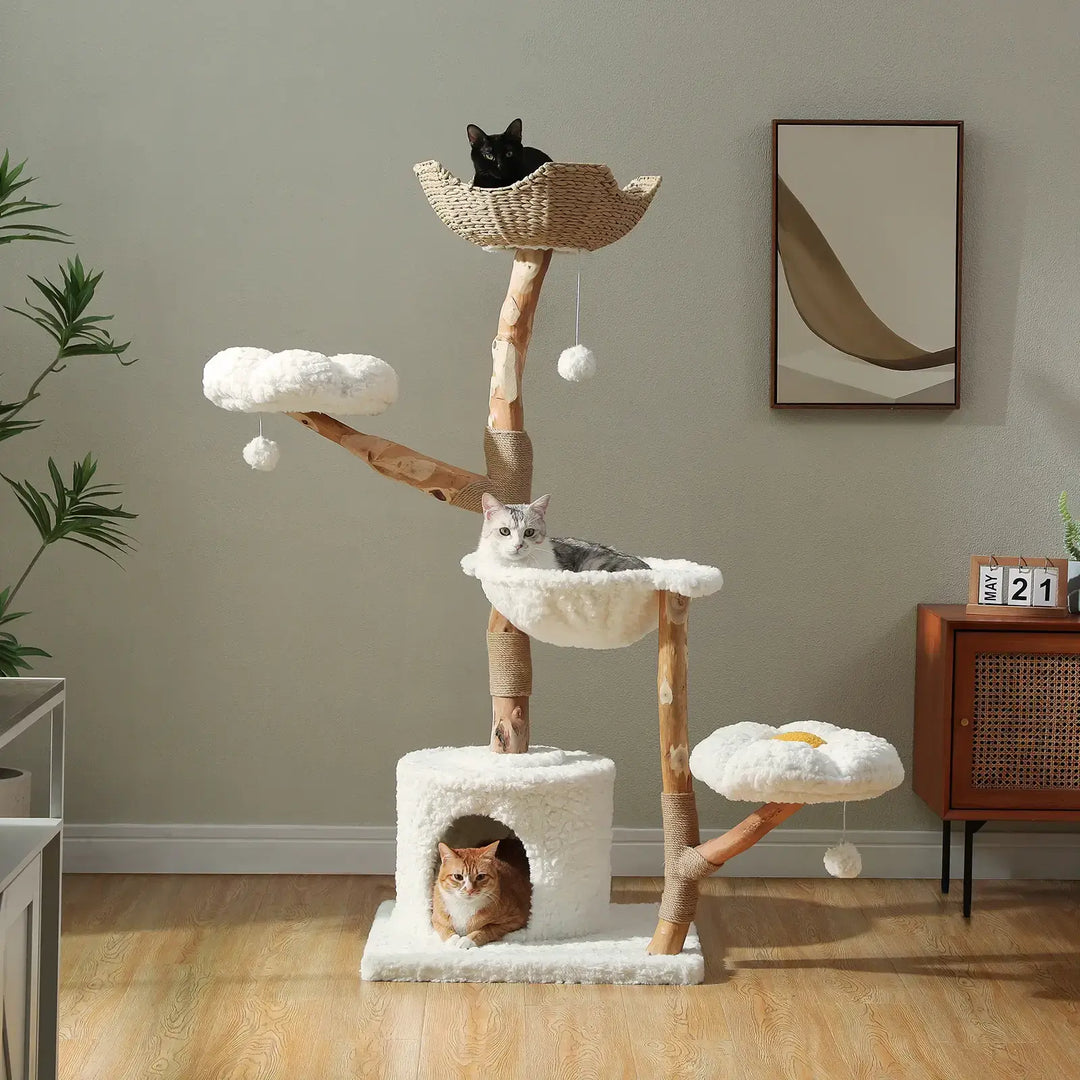 natural paradise kratzbaum​

kratzbaum katze​

kratzbaum große katzen​

kratzbaum für katzen​

kratzbaum für große katzen​

kratzbaum

katzenbäume bei fressnapf​

Katzenbaum

katzen kratzbaum​